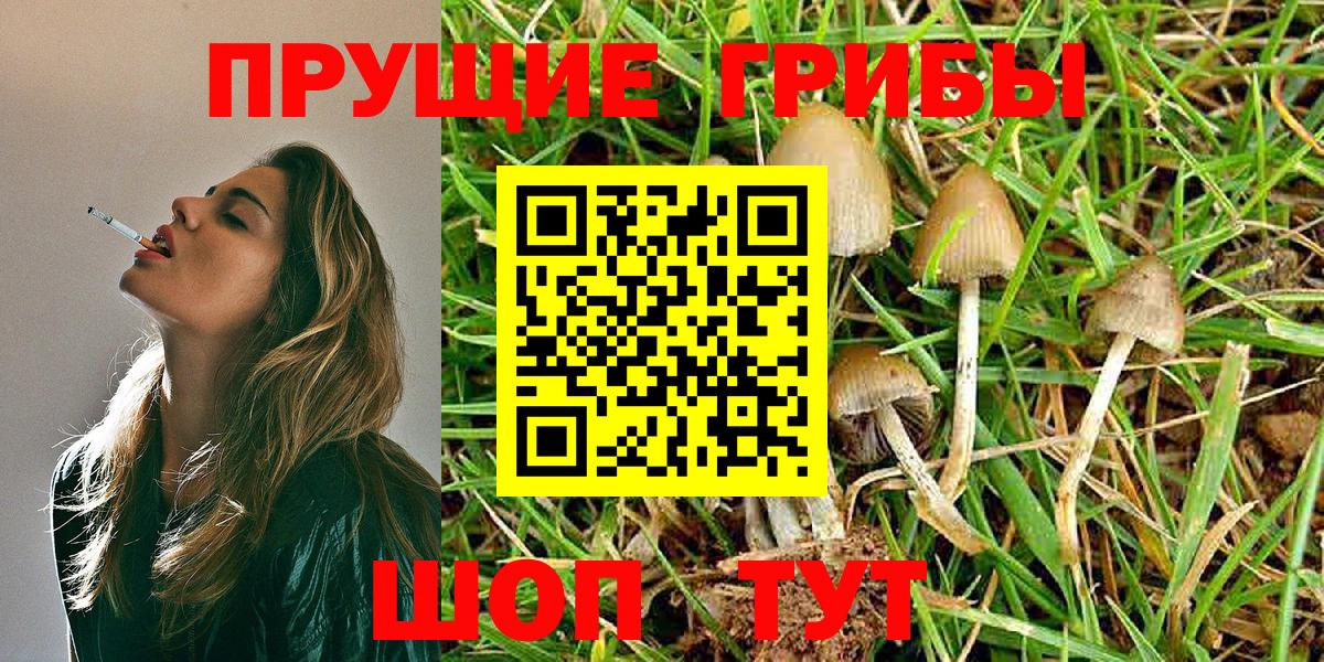 Галлюциногенные грибы GOLDEN TEACHER  Вход с VPN  Комсомольск-на-Амуре 