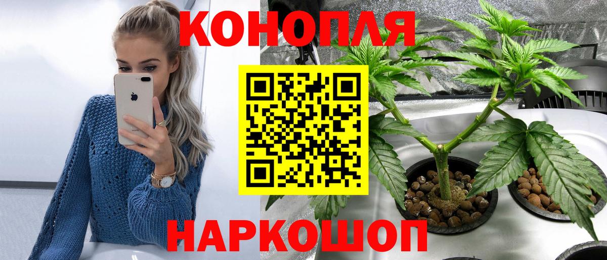 Конопля OG Kush  Шишки марихуана конопля  Вход с VPN  Каннабис план  Комсомольск-на-Амуре 